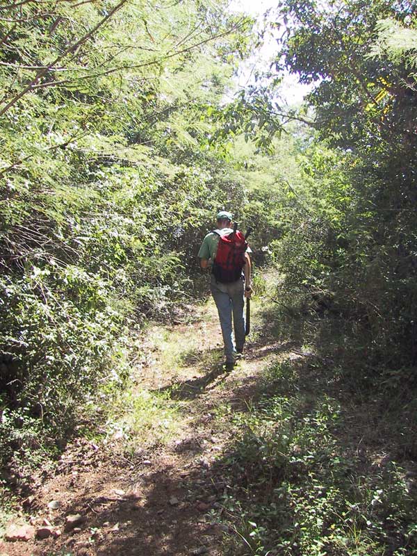 Day-on-the-trail